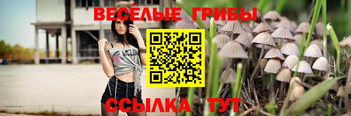 Псилоцибиновые грибы GOLDEN TEACHER Трёхгорный