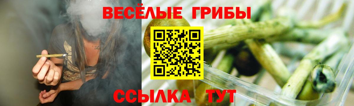 как найти наркотики  Галлюциногенные грибы мухоморы  Вход с VPN  Трёхгорный 